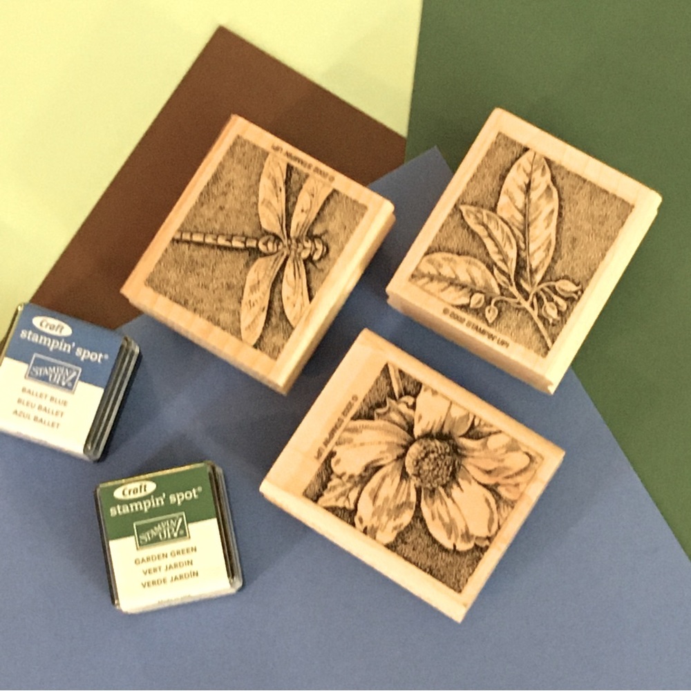 Stampin Up! | Nature’s Wonders Stamp Set